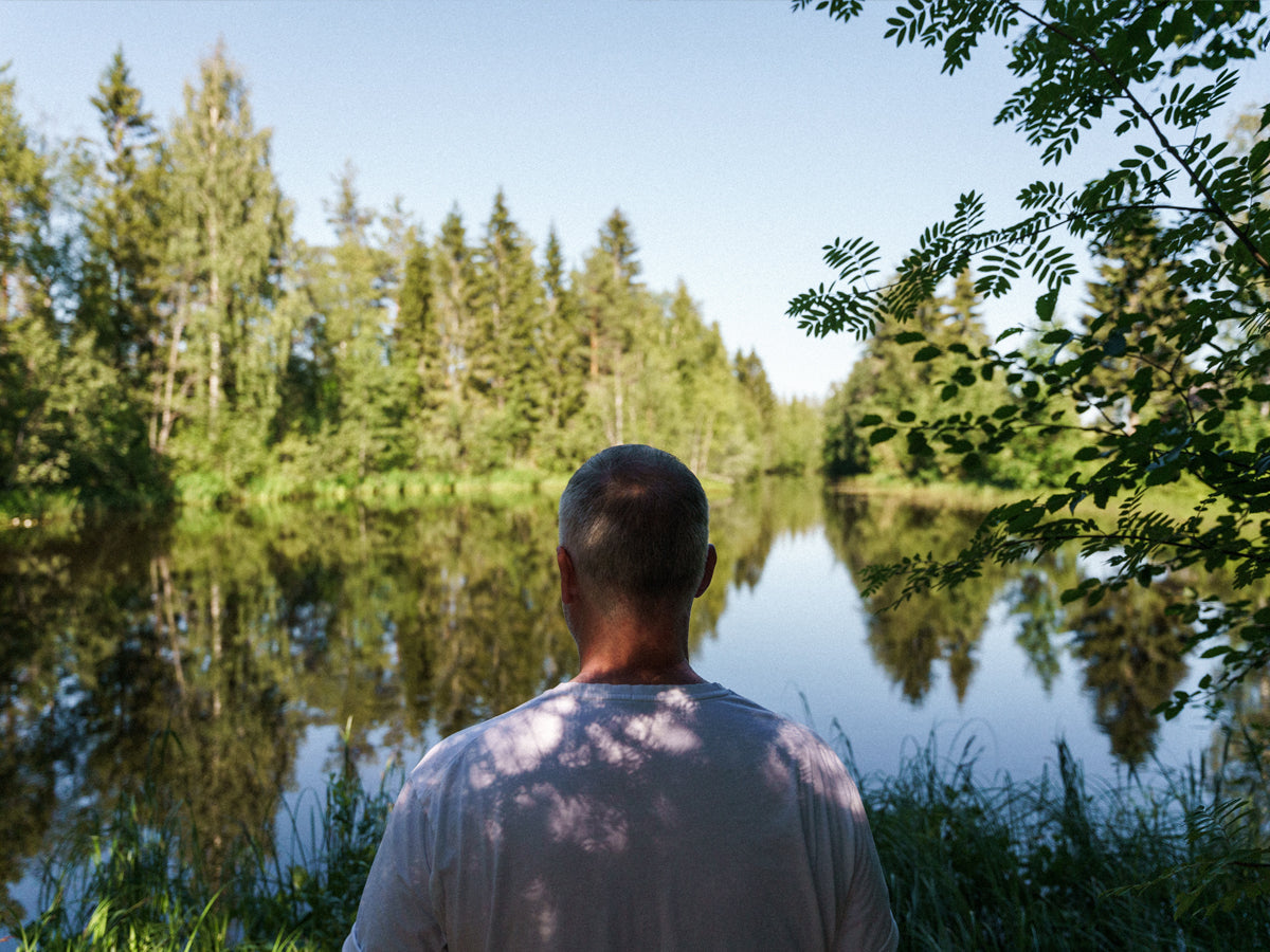 Die Geschichte von Forest Spa Finland