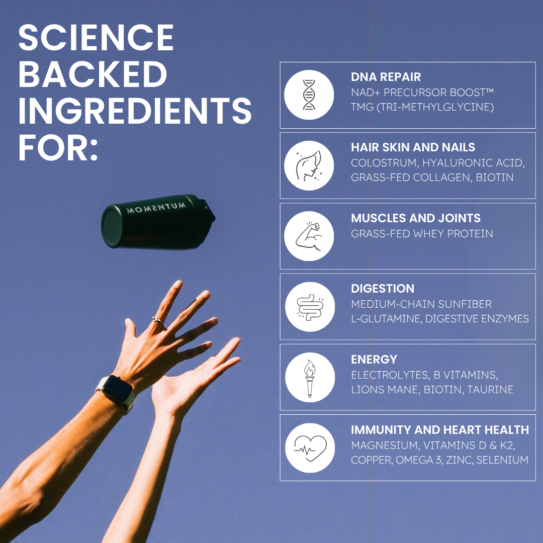 Longevity Shake Chocolate