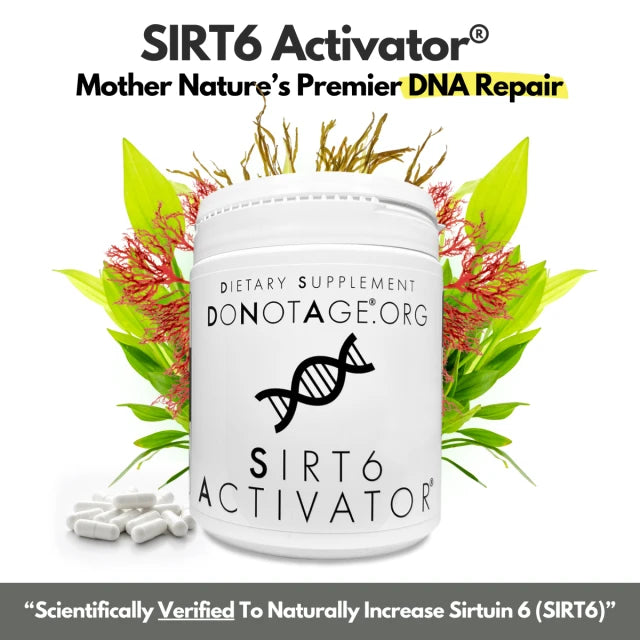 DoNotAge SIRT6Activator® – ergänzende Herstellerabbildung 4