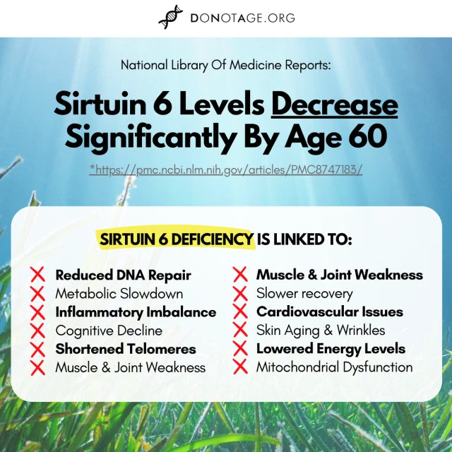 DoNotAge SIRT6Activator® – ergänzende Herstellerabbildung 3