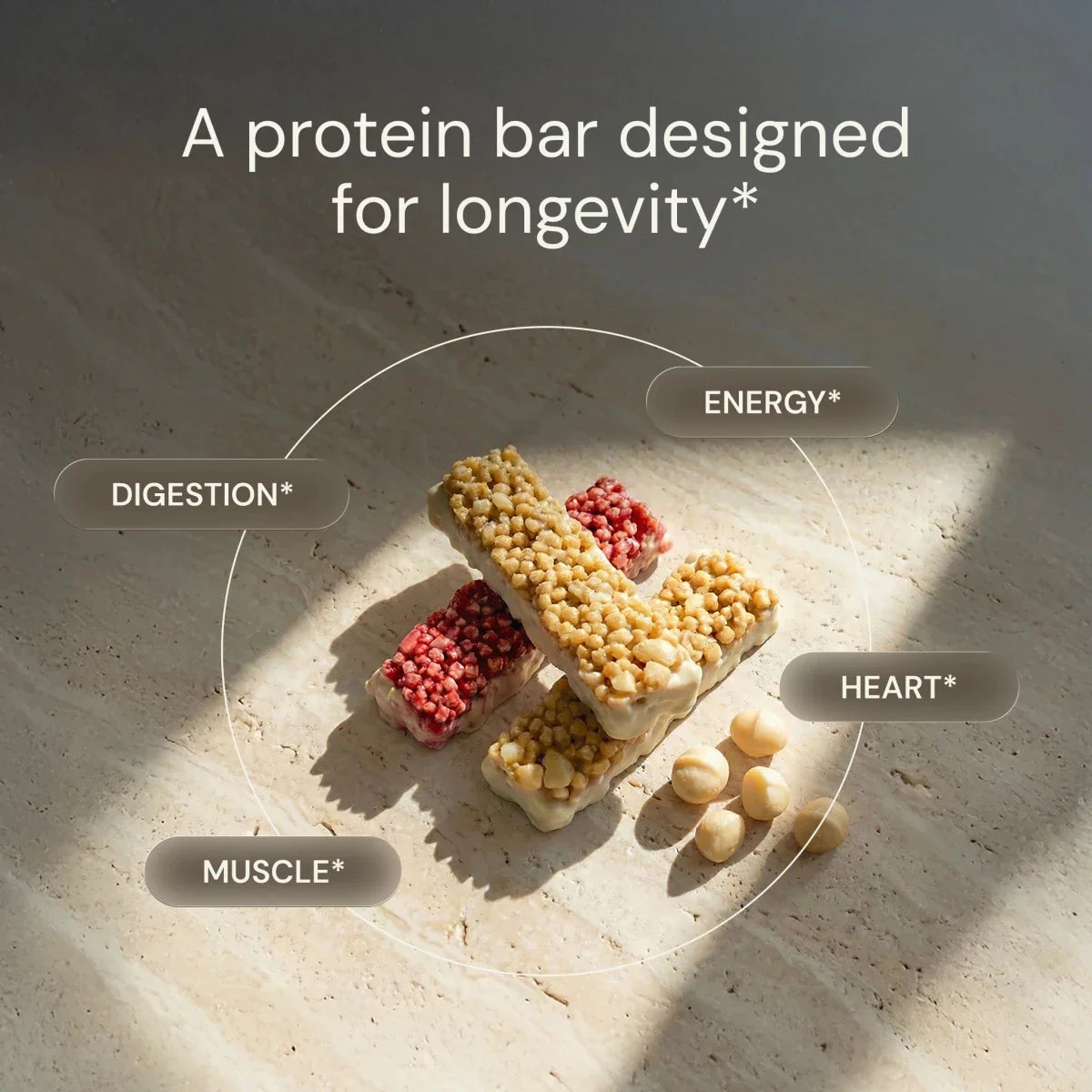 Macadamia Protein Bar