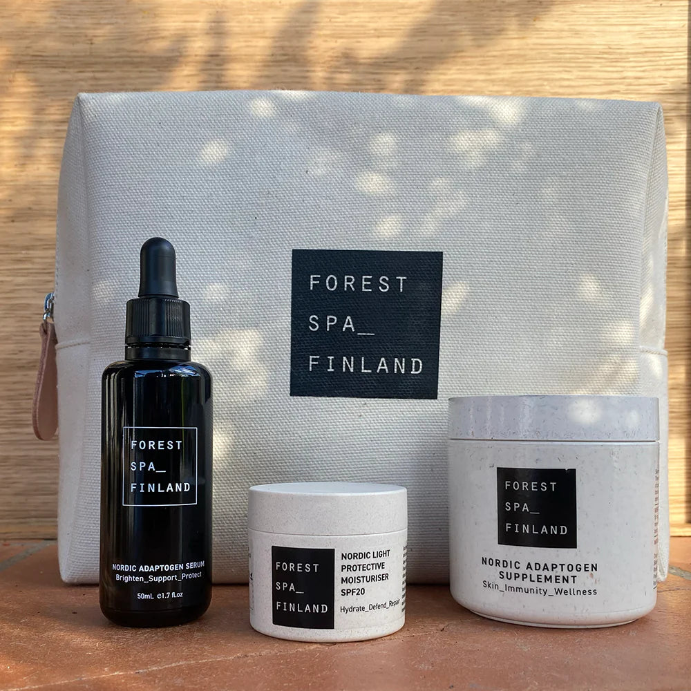 Holiday travel cosmetic bag