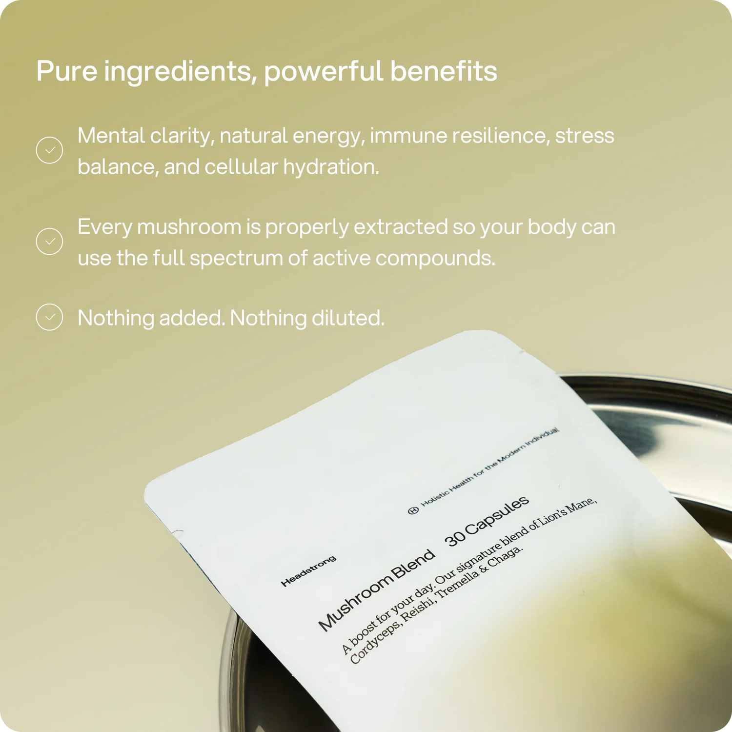 Mushroom Blend – 2.500 mg Kapseln