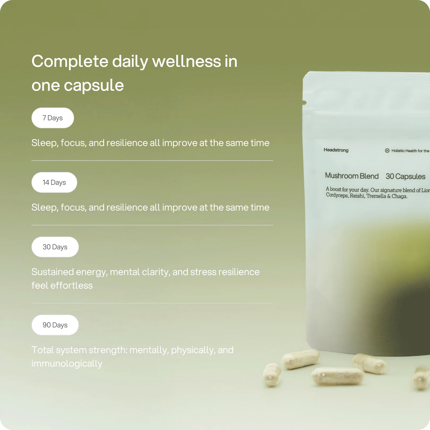 Mushroom Blend – 2.500 mg Kapseln
