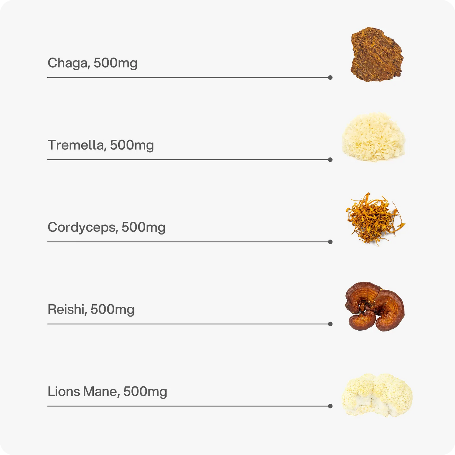 Mushroom Blend – 2.500 mg Kapseln