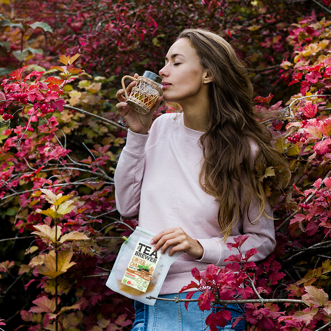 Teabrewer – Blueberry Mint Teabrewer