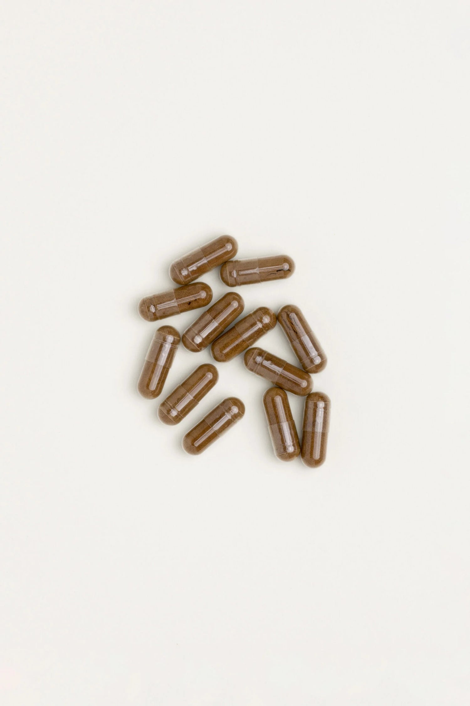 Lions Mane Extract