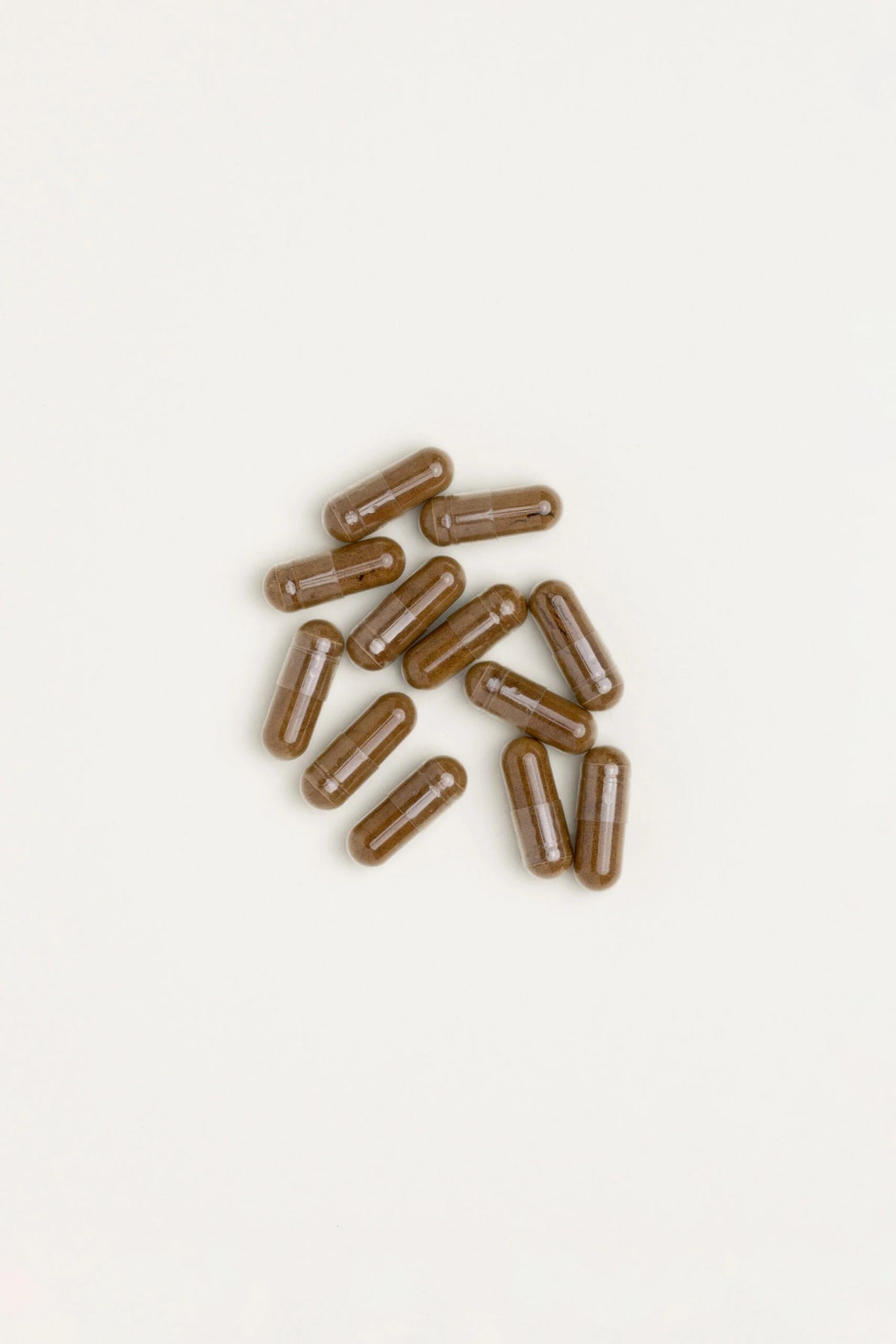 Lions Mane Extract