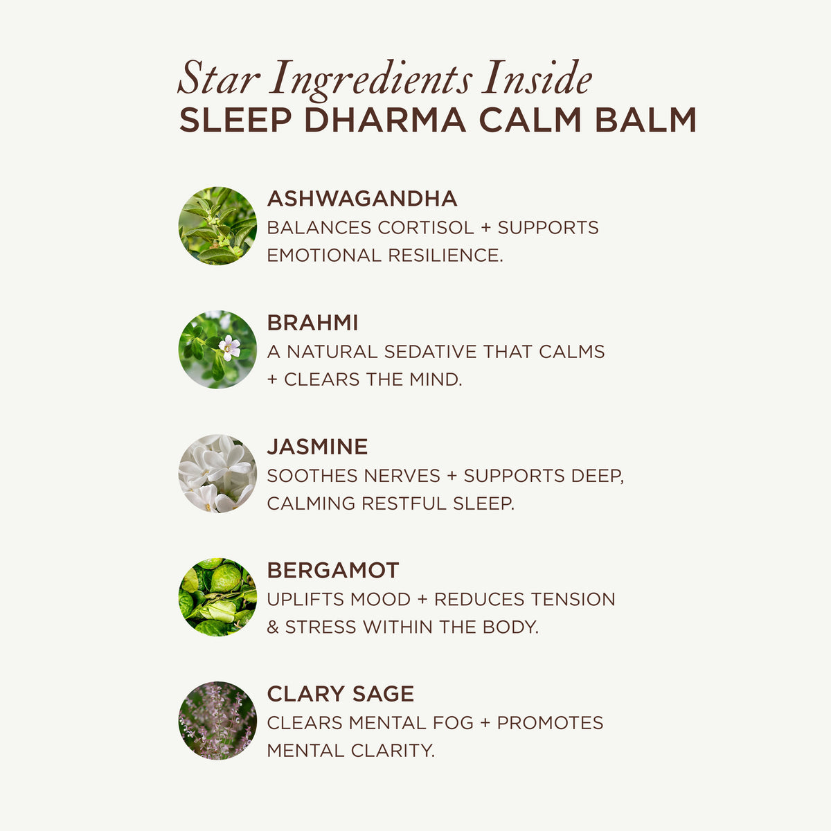 Sleep Dharma Calm Balm – Ayurvedischer Entspannungsbalsam 20 g