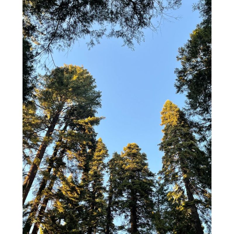 Sfaria Eau de Parfum