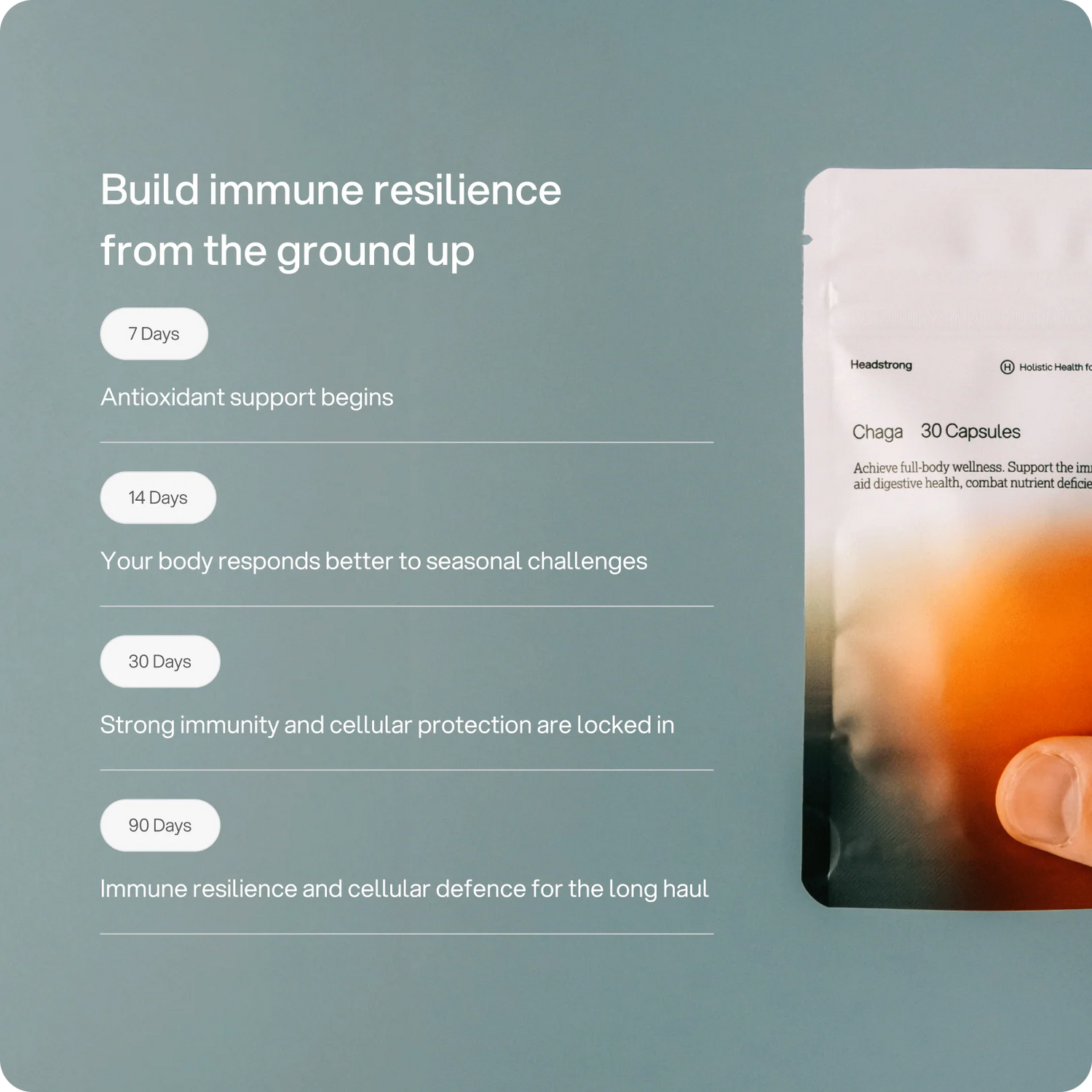 Chaga – 2.000 mg Kapseln
