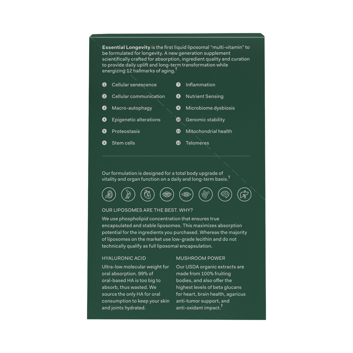 Essential Longevity – All-in-One Daily Longevity Stack