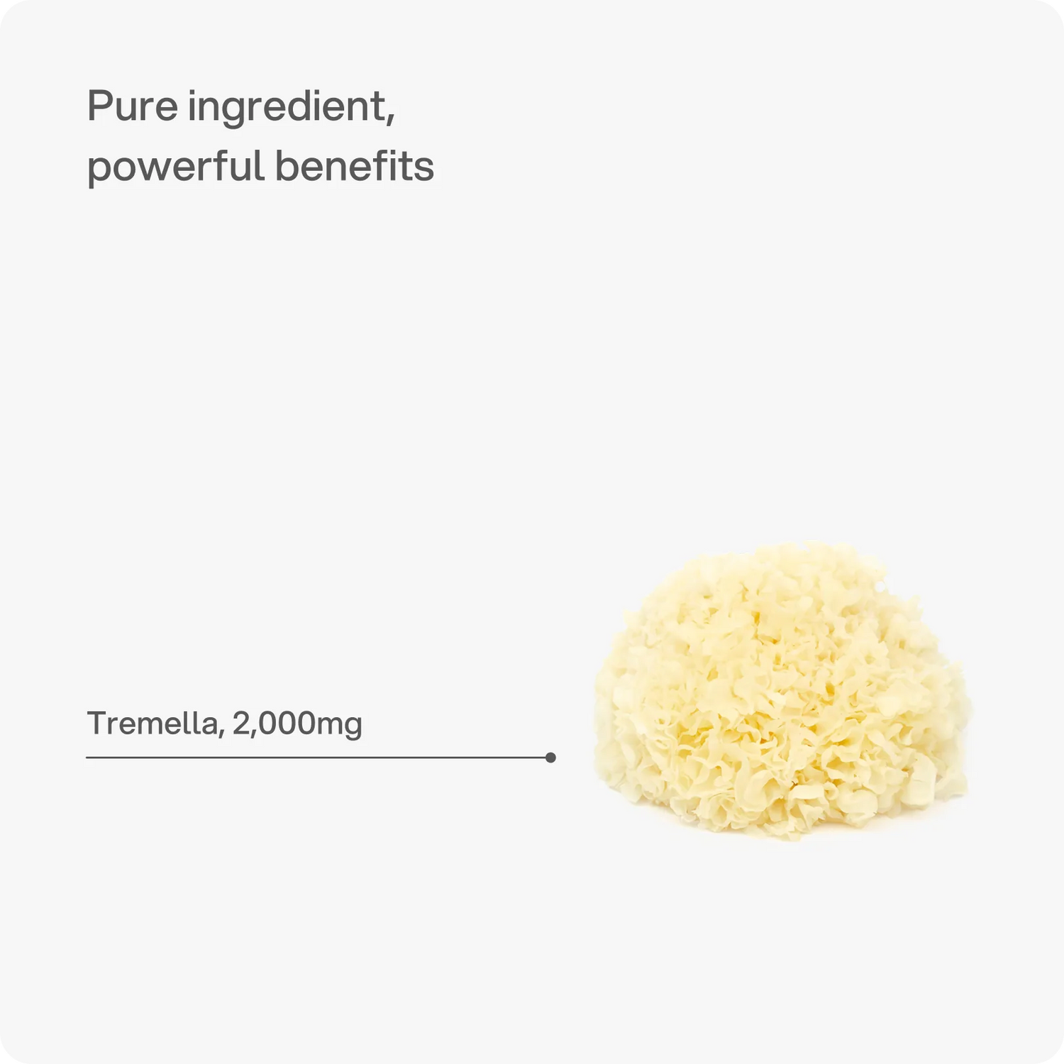 Tremella – 2.000 mg Kapseln