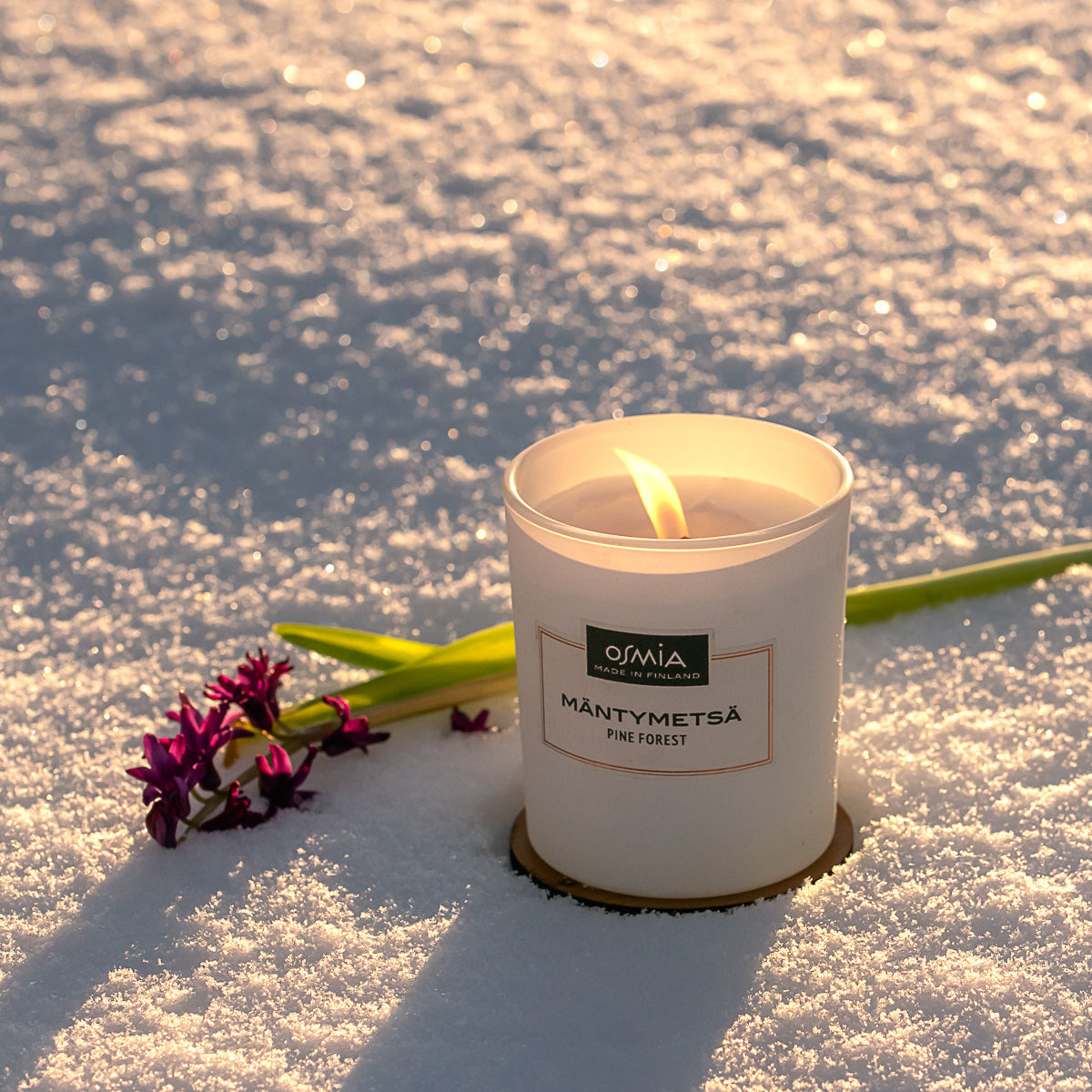 Pine forest scented candle (150 g)