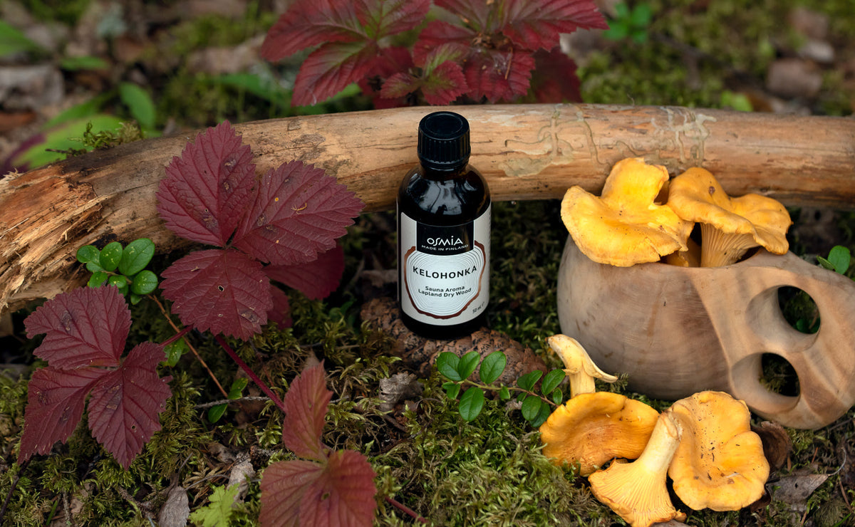 Lapland dry wood Sauna Aroma 50 ml