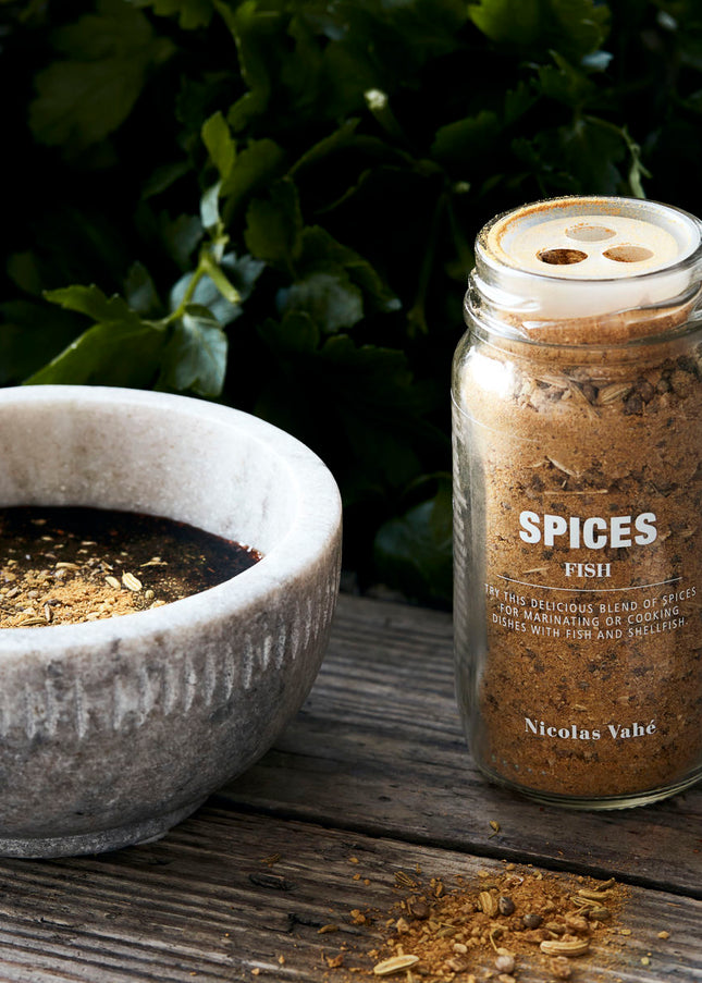 Spice with ginger, garlic and coriander