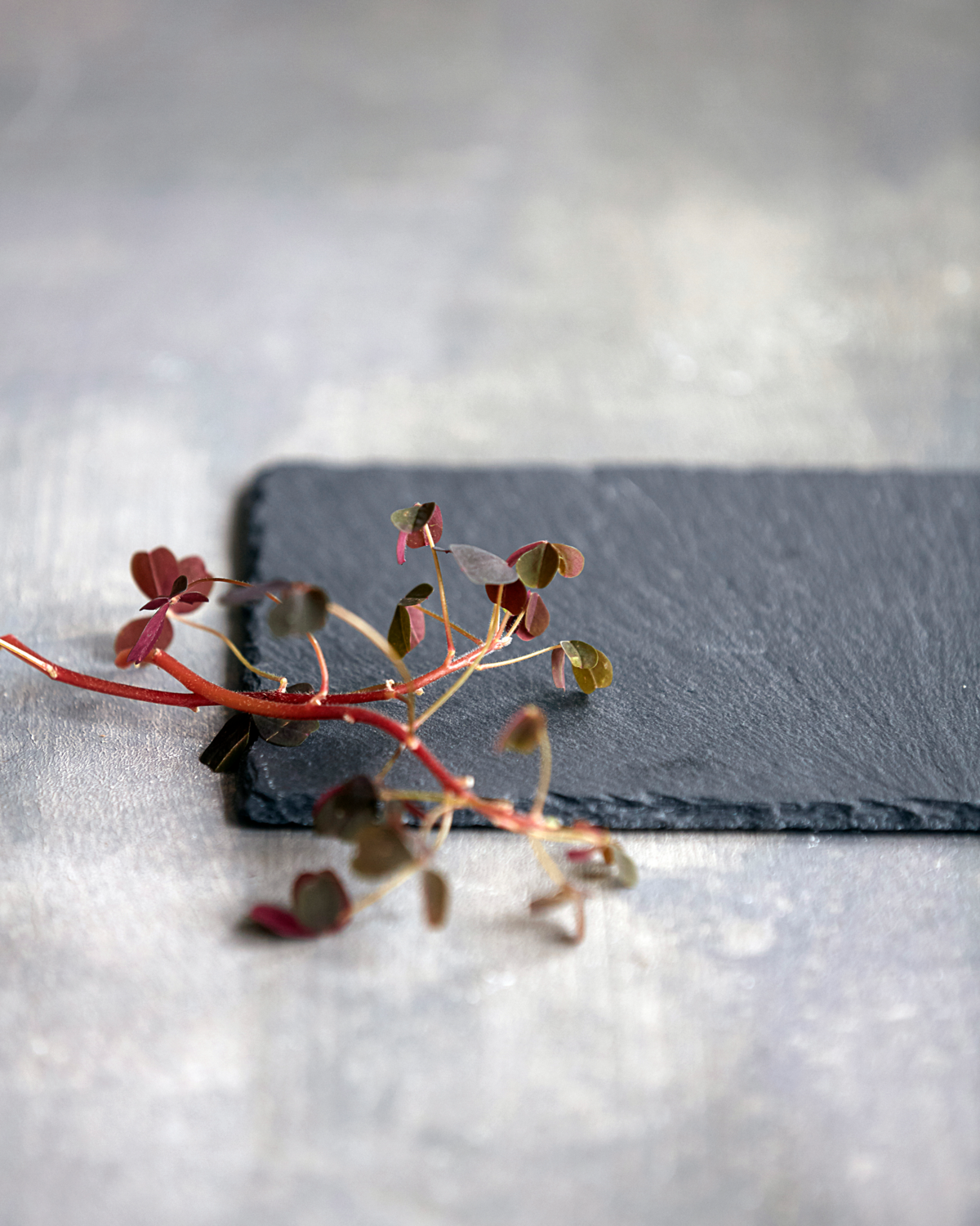 Serving board, NVSlate, Grey