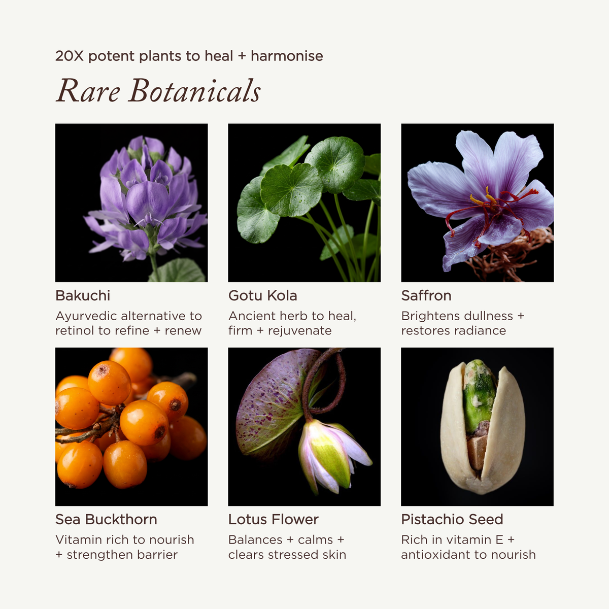 MAULI RITUALS Radiance Ritual Duo – Serum & Gesichtscreme – Produktansicht 5