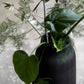 Vase Groove