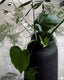 Rainure du vase