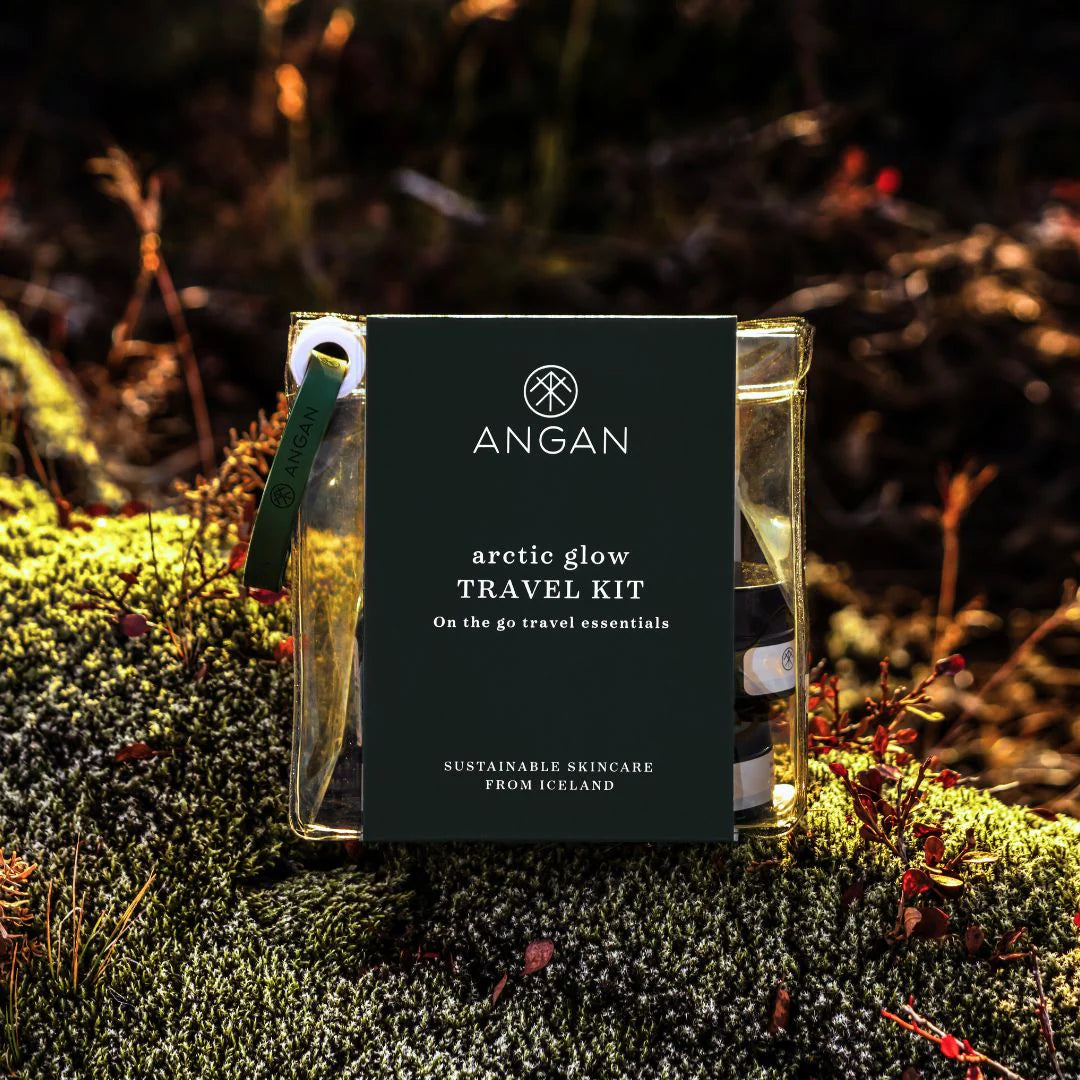 Kit de voyage Arctic Glow
