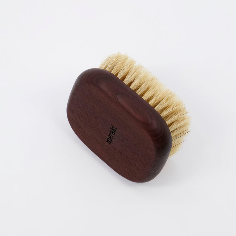 Brosse ionique pour le corps