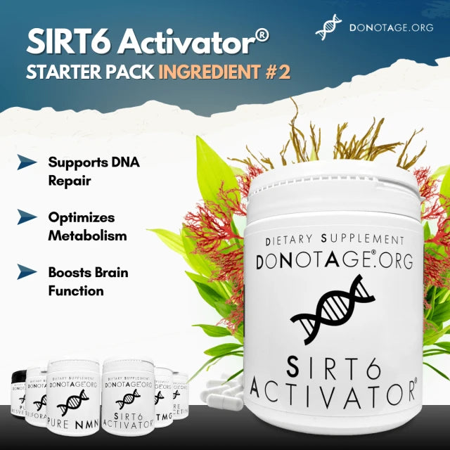 Longevity Starter Pack – 6 Wirkstoffe für Energie, Fokus & Zellgesundheit
