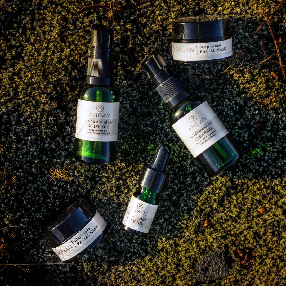 Kit de voyage Arctic Glow