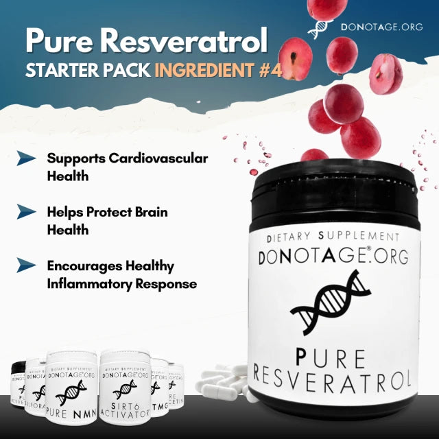 Longevity Starter Pack – 6 Wirkstoffe für Energie, Fokus & Zellgesundheit