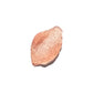 GOMMAGE CORPOREL BIOTICS
