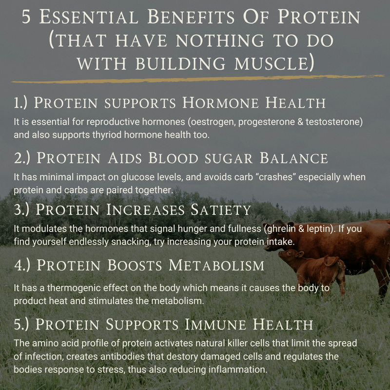 Grass-Fed Beef Protein with Raw Cacao &amp; Maple Sea Salt