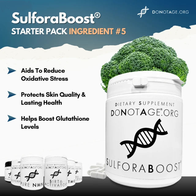 Longevity Starter Pack – 6 Wirkstoffe für Energie, Fokus & Zellgesundheit