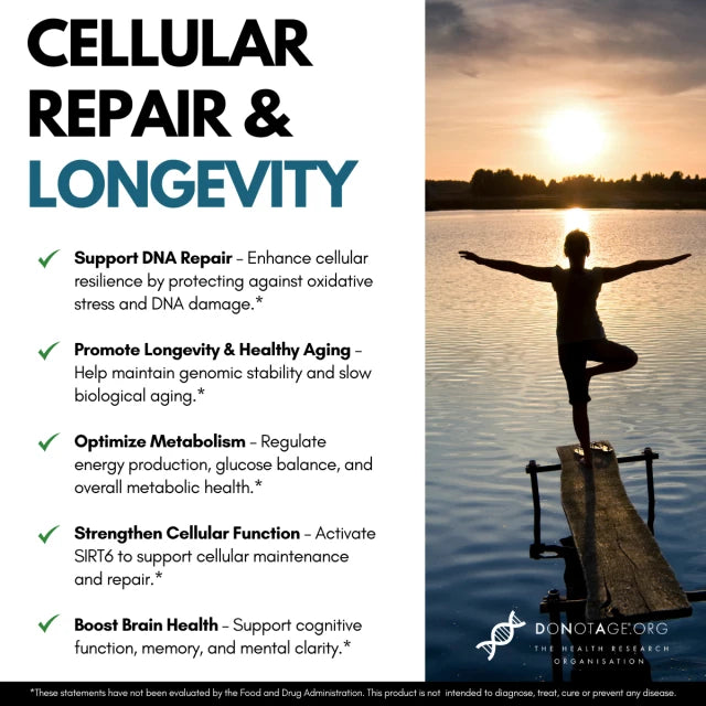 SIRT6Activator®