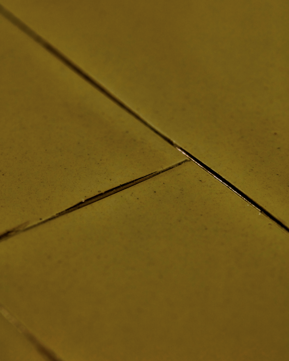 Table de salle à manger verte de House Doctor