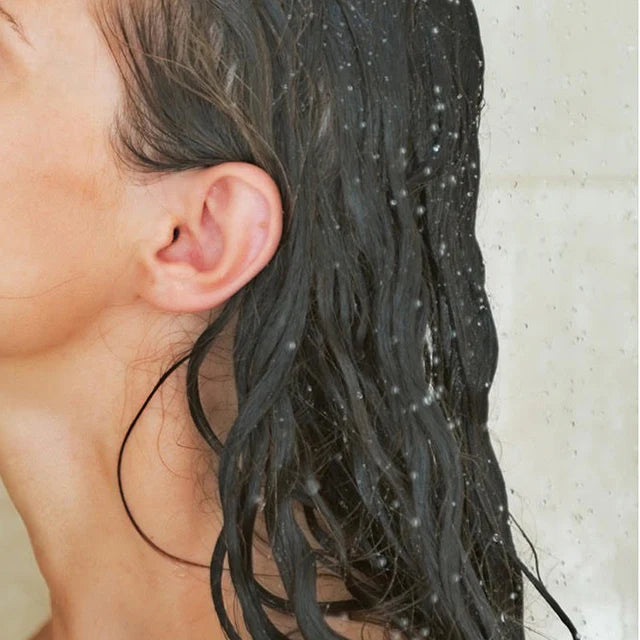 Shampoing des Fjords de l'Ouest