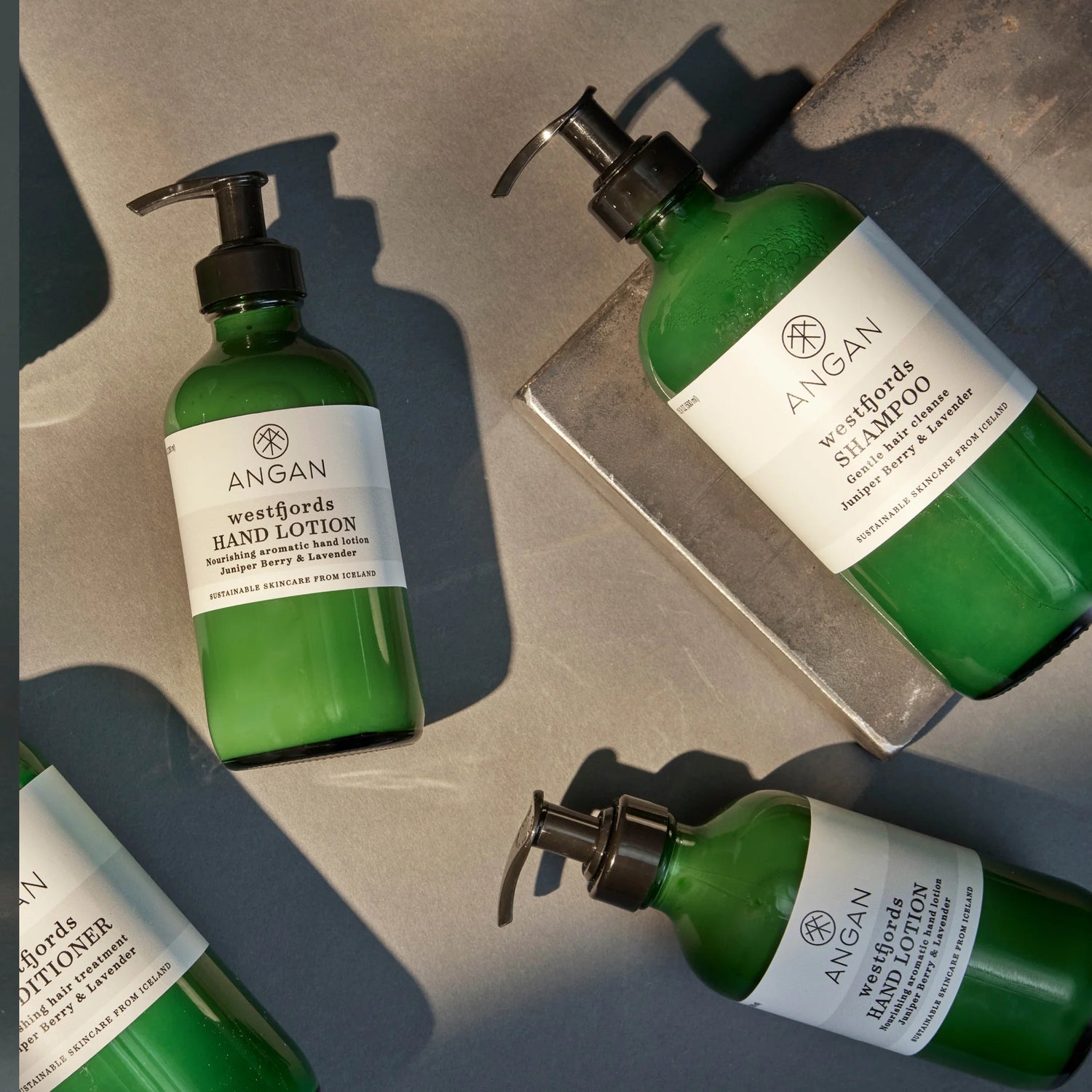 Westfjords Shampoo