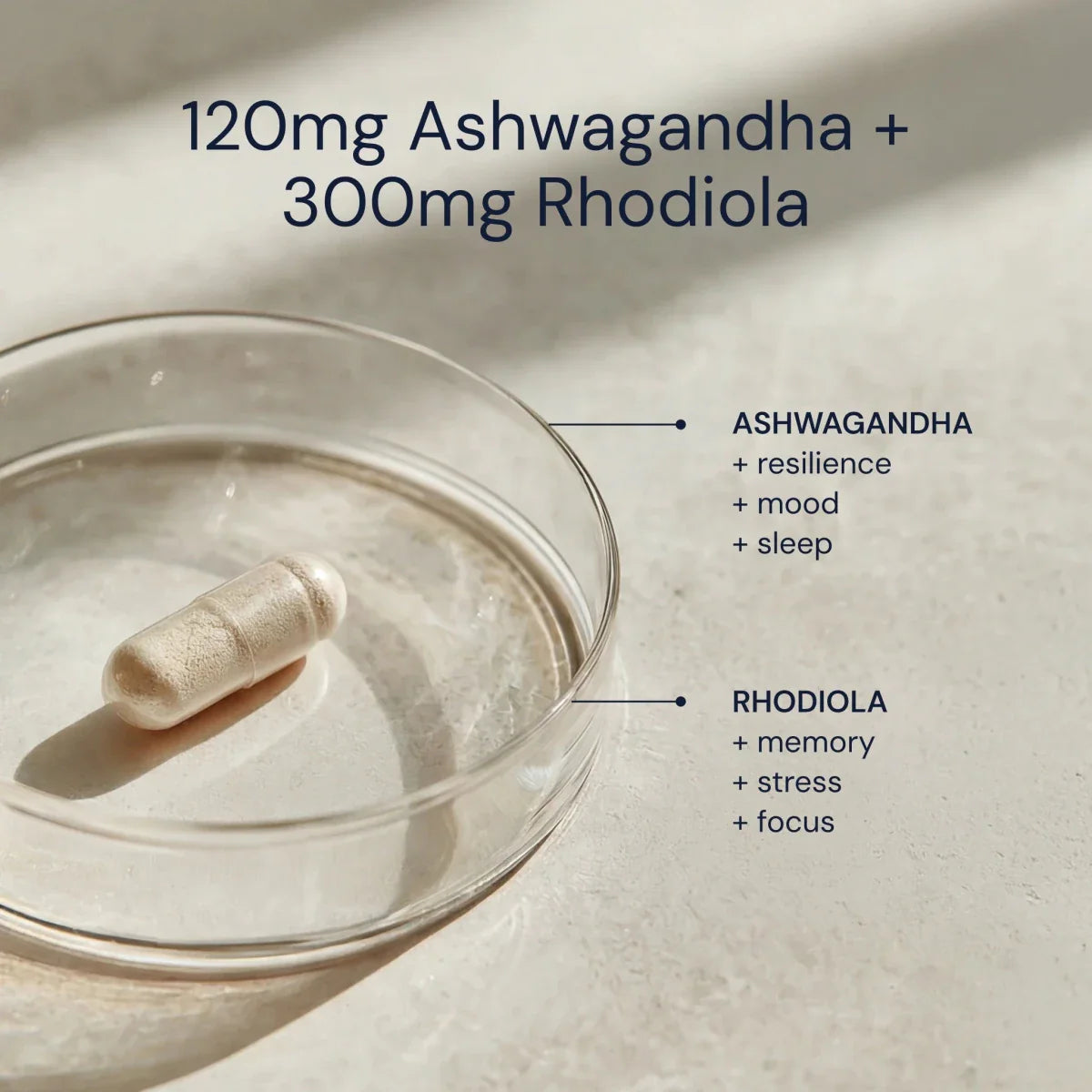 Ashwagandha + Rhodiola
