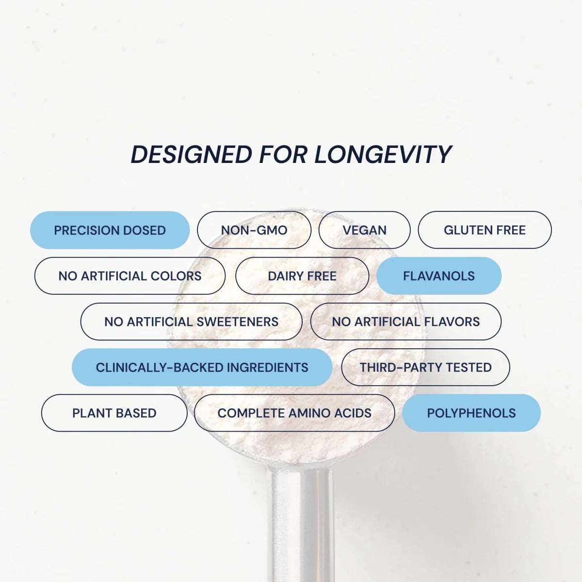 Longevity Protein – Chocolate