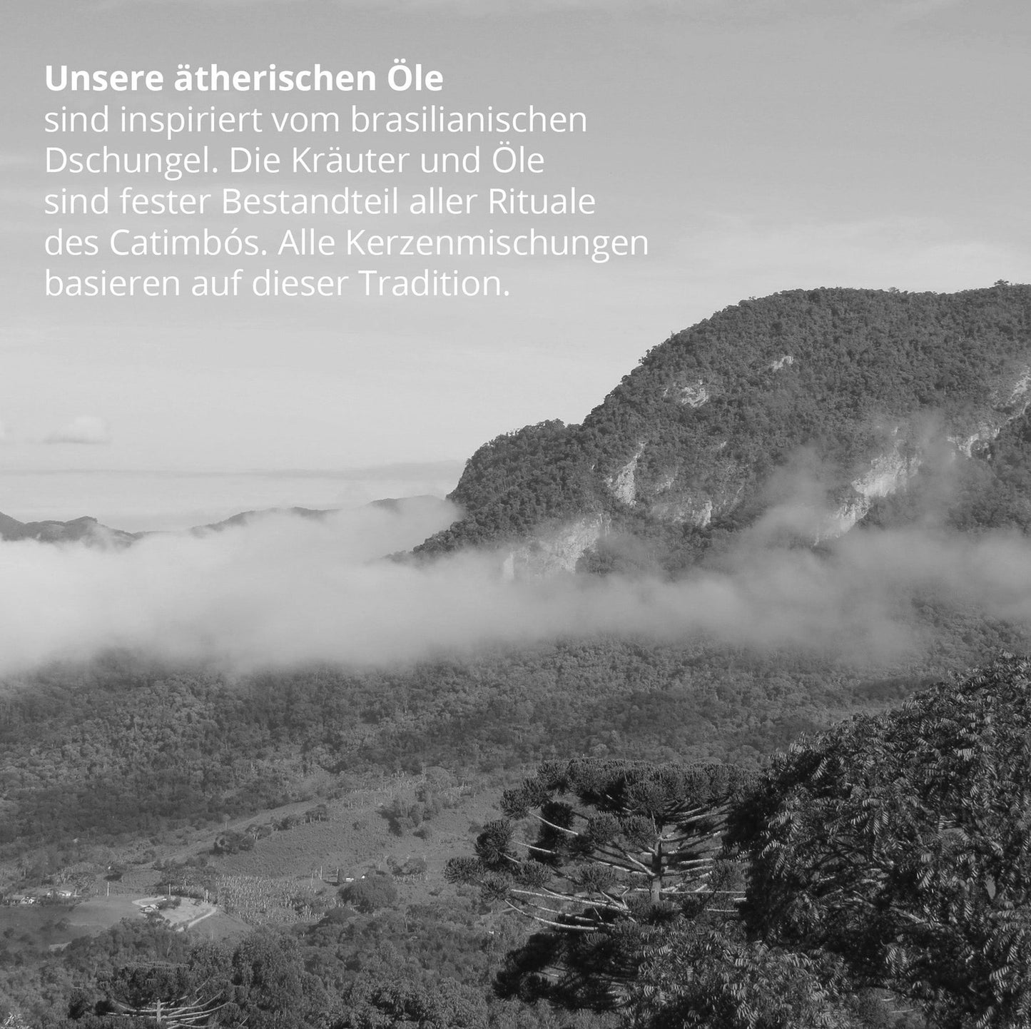 Duftkerze mit Tonkabohne & Tabak