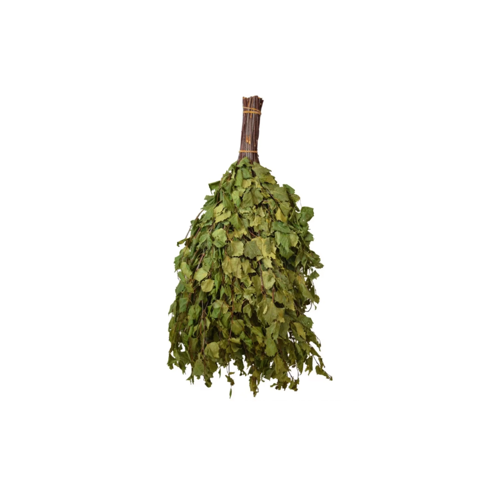 Branches de bouleau, 25 pièces (1 boîte)