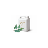 Steam bath aroma eucalyptus