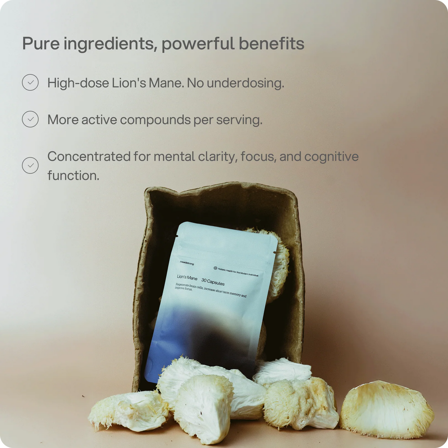 Lion's Mane 2,500 mg Capsules