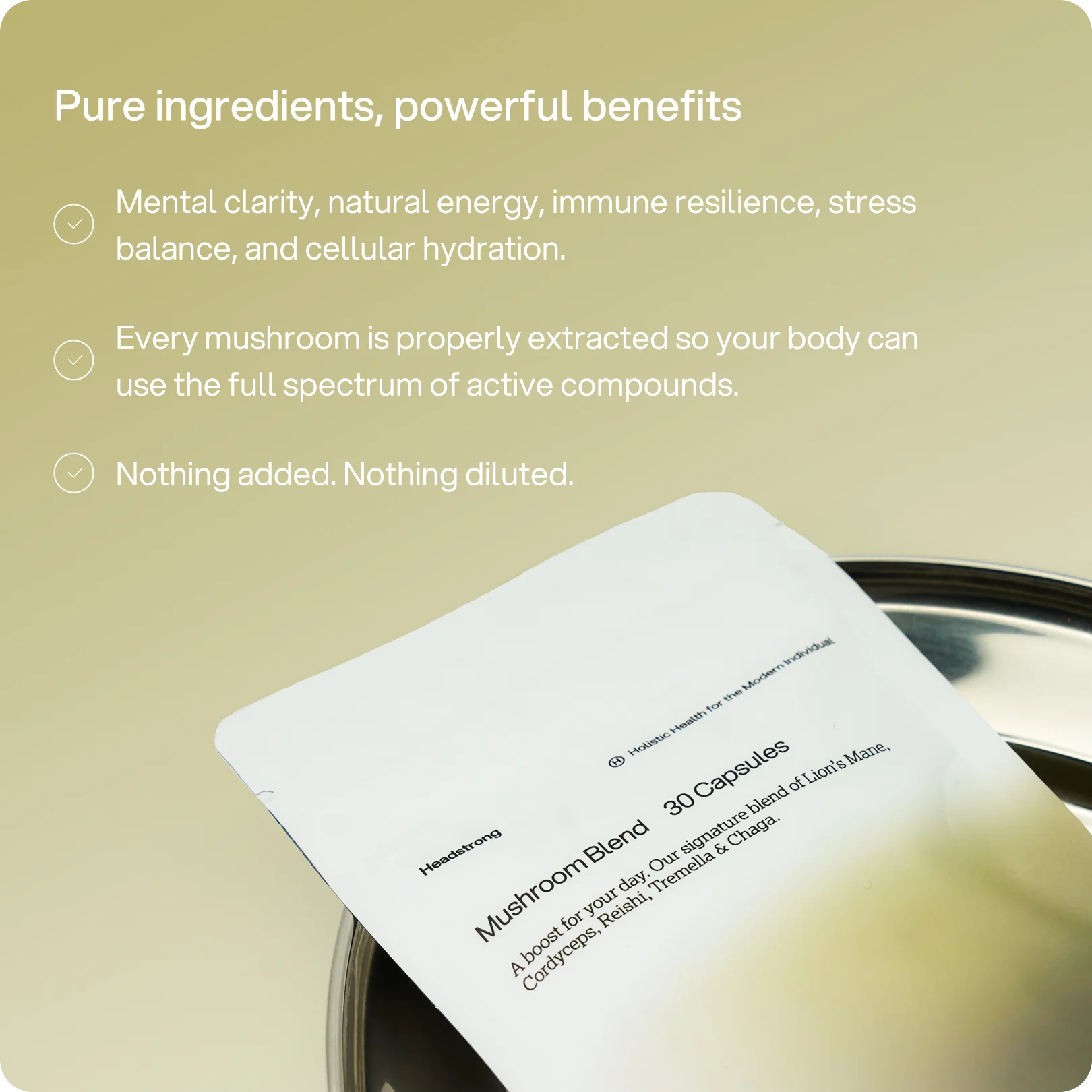 Mushroom Blend – 2.500 mg Kapseln