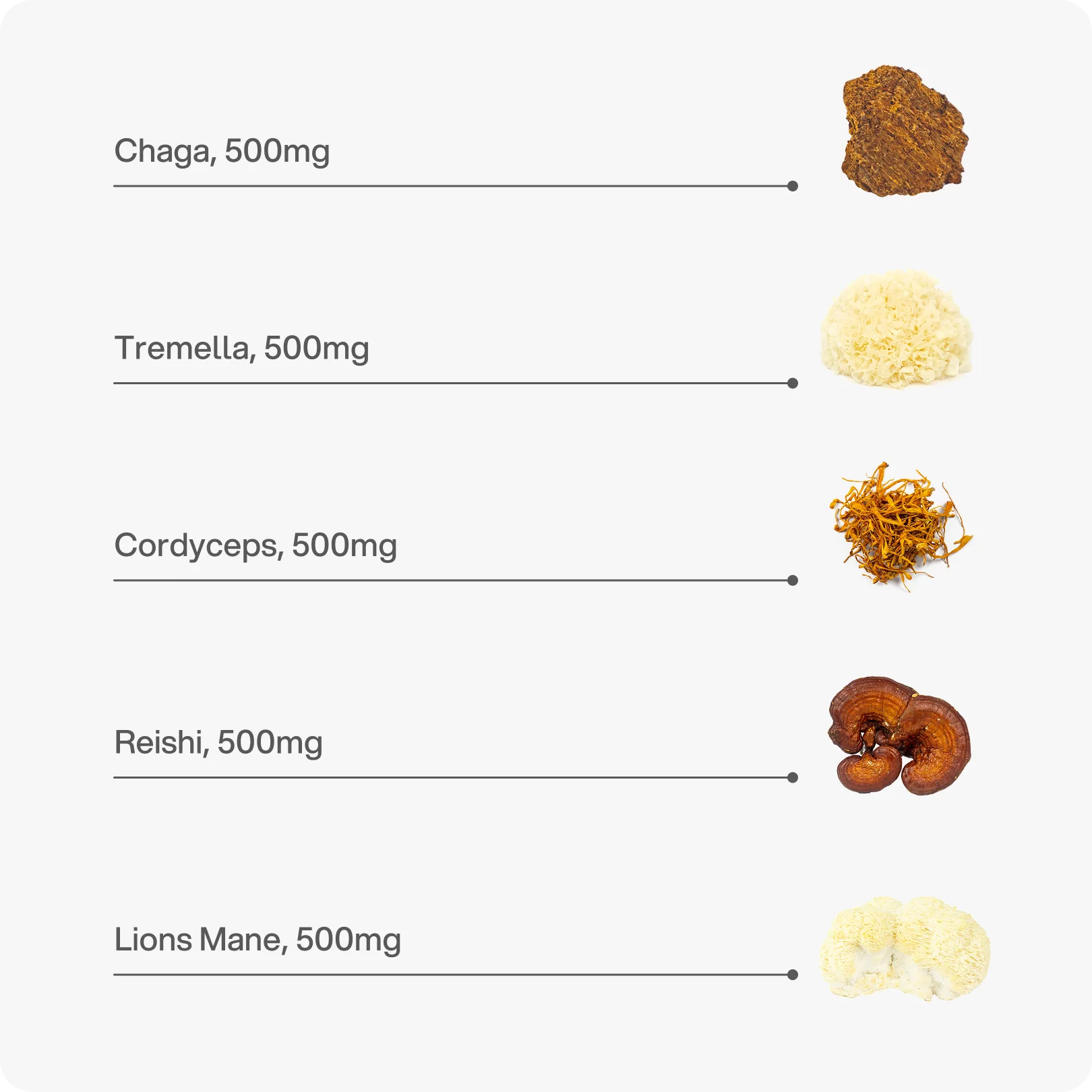 Mushroom Blend – 2.500 mg Kapseln