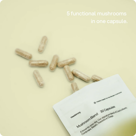 Mushroom Blend – 2.500 mg Kapseln