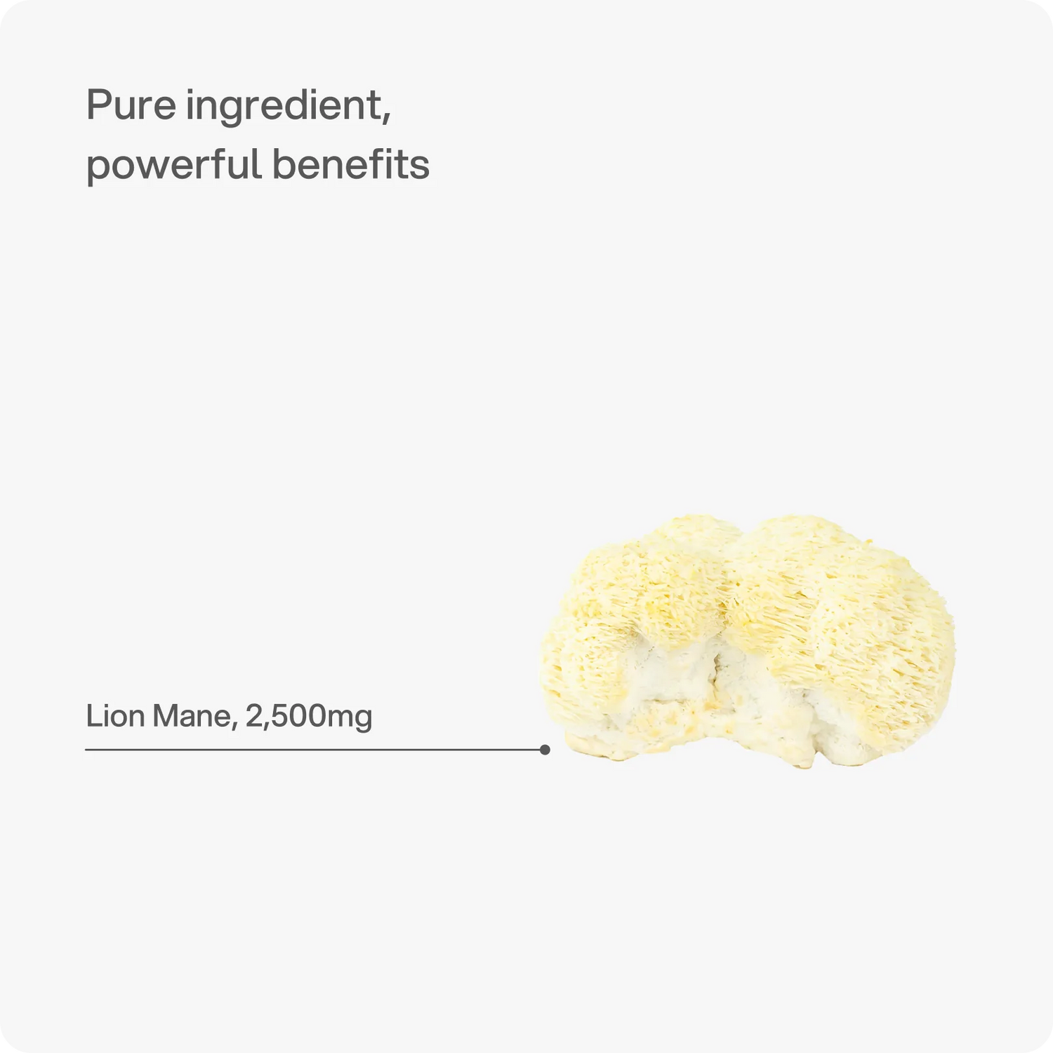 Lion's Mane 2,500 mg Capsules