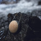 Éponge Konjac au charbon actif