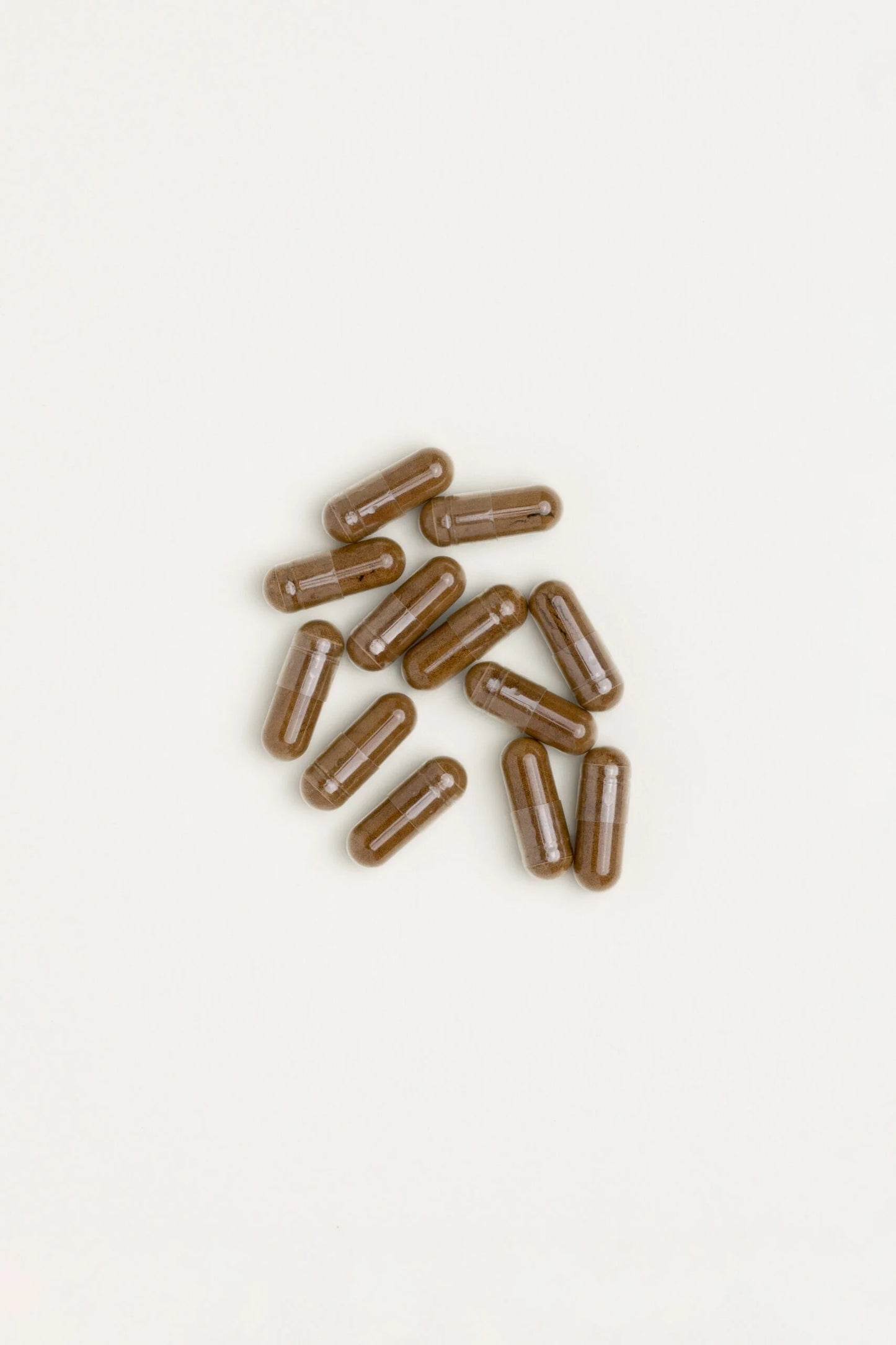 Lions Mane Extract