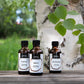 Rauchsauna Aufgusskonzentrat Savusauna 50 ml