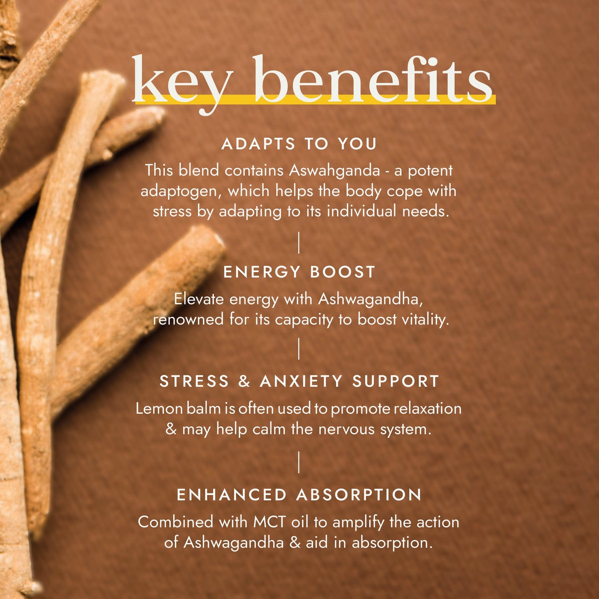 Ashwagandha mit veganem MCT-Extrakt
